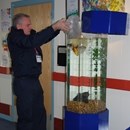 Fish tank installation at Batley School