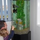Aquarium in Cheshire School