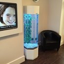 Fish tank in dentist surgey in Leeds