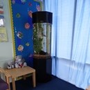 Aquarium in a school in Nottingham