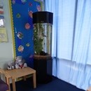 Aquarium in a school in Nottingham