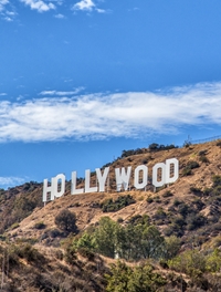 Hollywood calls for Aqua Rentals